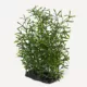 Product Nate & Jeremiah Rosemary Plant Reptile & Aquarium Décor - 9"