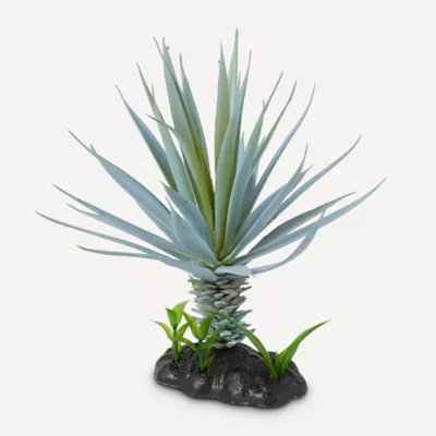 Product Nate & Jeremiah Blue Agave Plant Reptile & Aquarium Décor - 7.5"