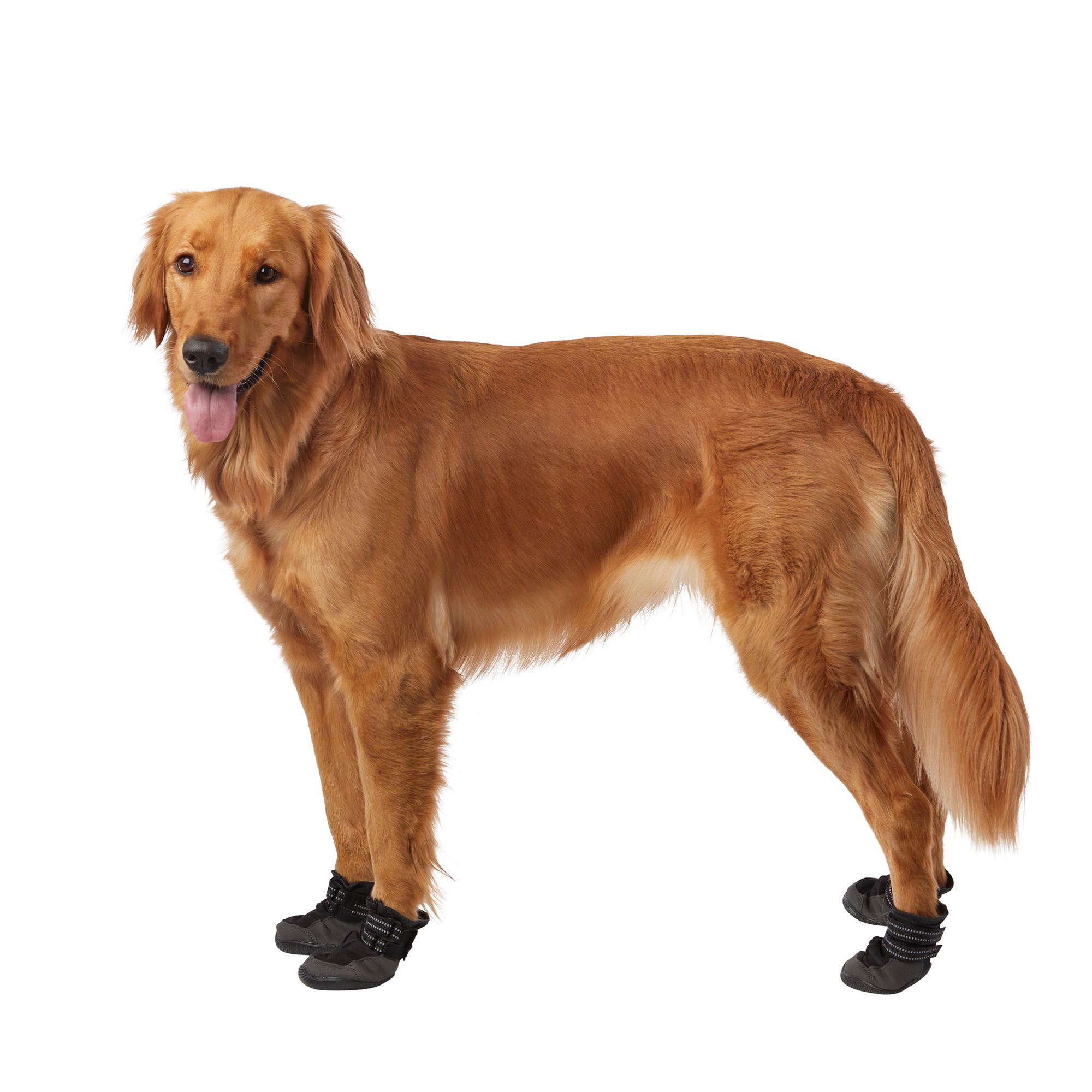 Youly, Petco, XL Dog Silicone Boots Shoes Waterproof Skid Resistant