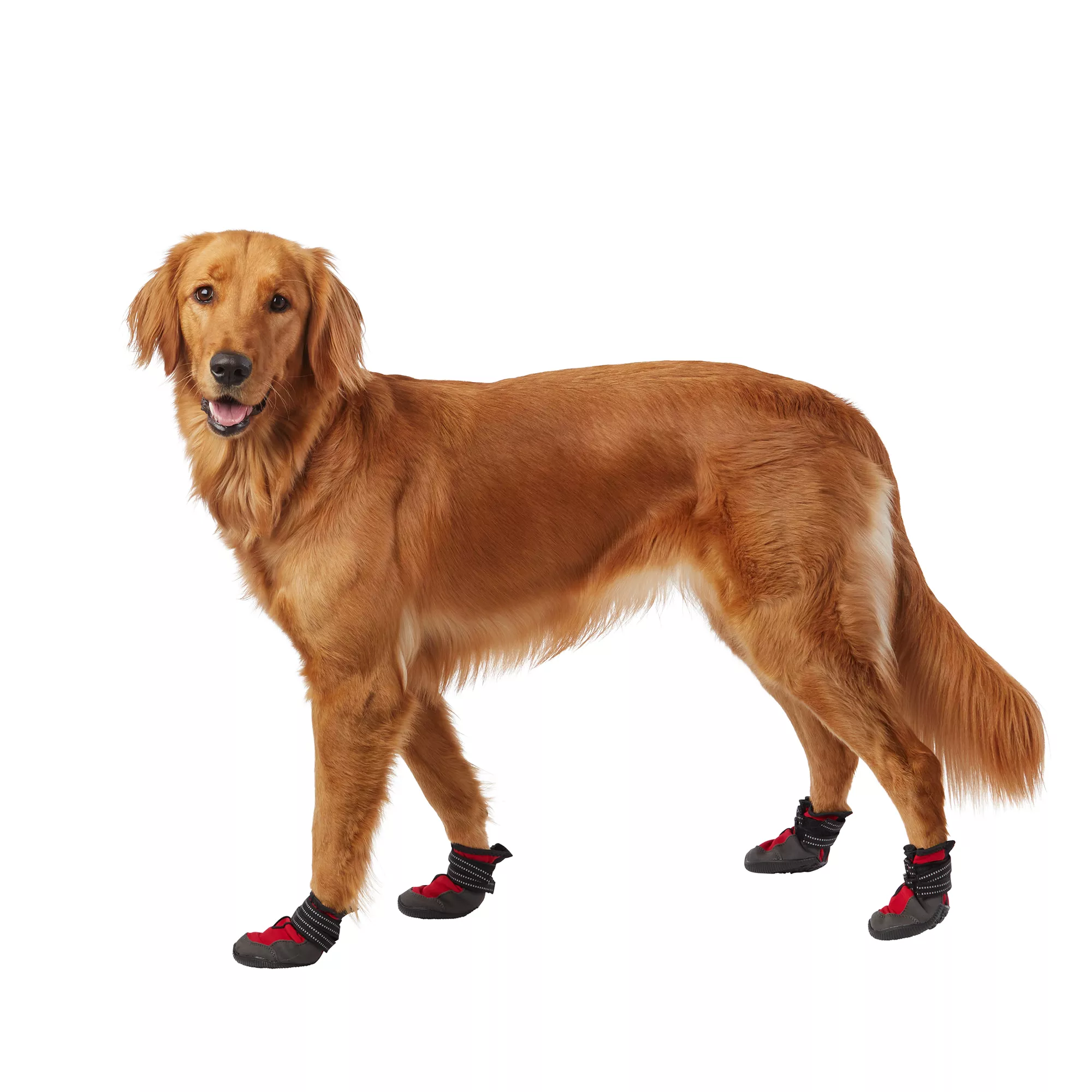 Top Paw® Dog Booties