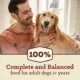 Product NUTRO MAX™ Adult Dry Dog Food - Beef