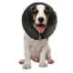 Product ZenPet ZenCollar