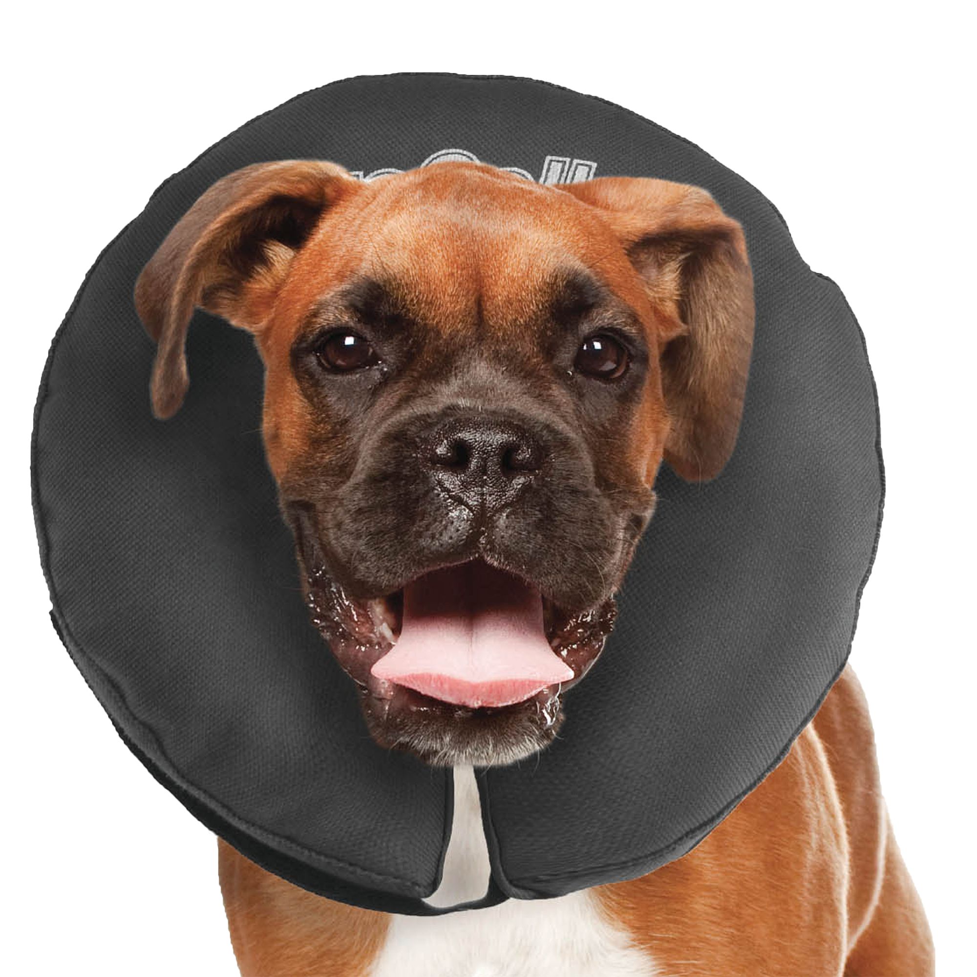 ZenPet Inflatable Recovery Collar Large