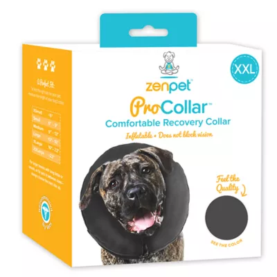 Inflatable cat collar petsmart best sale