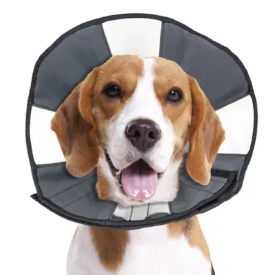 Product ZenPet ZenCone