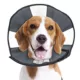 Product ZenPet ZenCone