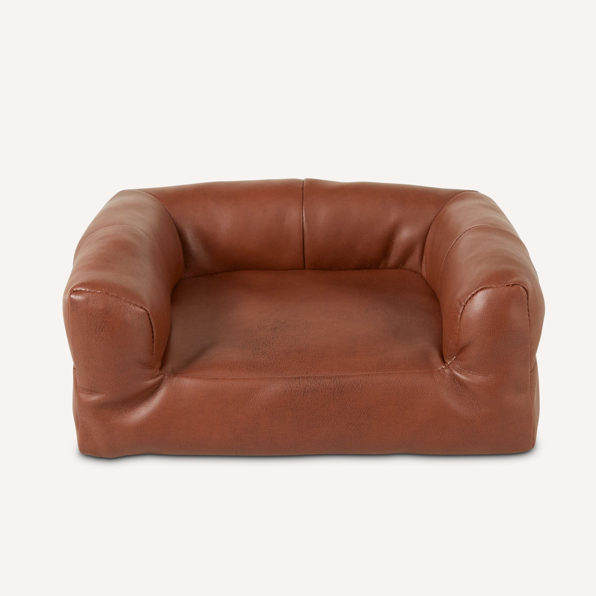 Pets and hotsell leather couches