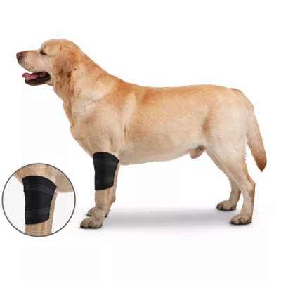 Product ZenPet Ortho Wrap Elbow