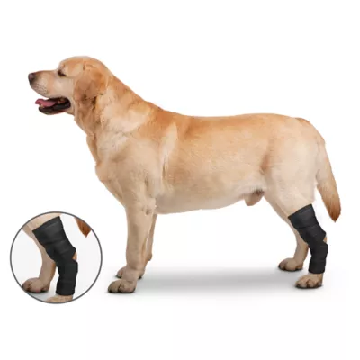 Product ZenPet Ortho Wrap Hock