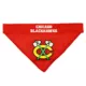 Product Pets First Chicago Blackhawks Reversible Bandana