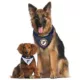 Product Pets First St. Louis Blues Reversible Bandana