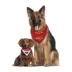 Pets First Washington Capitals Reversible Bandana image thumbnail 4