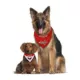 Product Pets First Washington Capitals Reversible Bandana