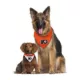 Product Pets First Philadelphia Flyers Reversible Bandana