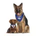 Pets First New York Islanders Reversible Bandana image thumbnail 4