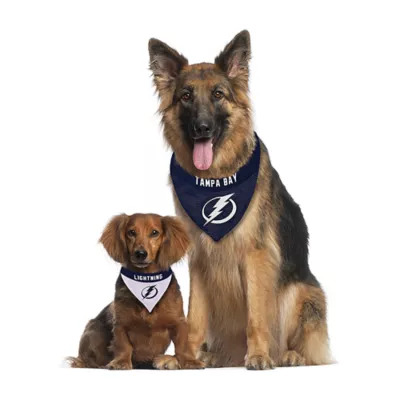Pets First Tampa Bay Lightning Reversible Bandana - Image 4