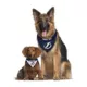 Product Pets First Tampa Bay Lightning Reversible Bandana