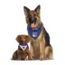 Pets First New York Rangers Reversible Bandana image thumbnail 3