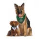 Product Pets First Dallas Stars Reversible Bandana