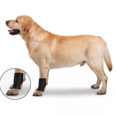 Product ZenPet Ortho Wrap Ligament