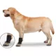 Product ZenPet Ortho Wrap Ligament