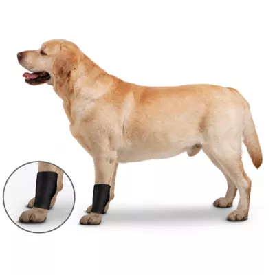 Product ZenPet Ortho Wrap Ligament