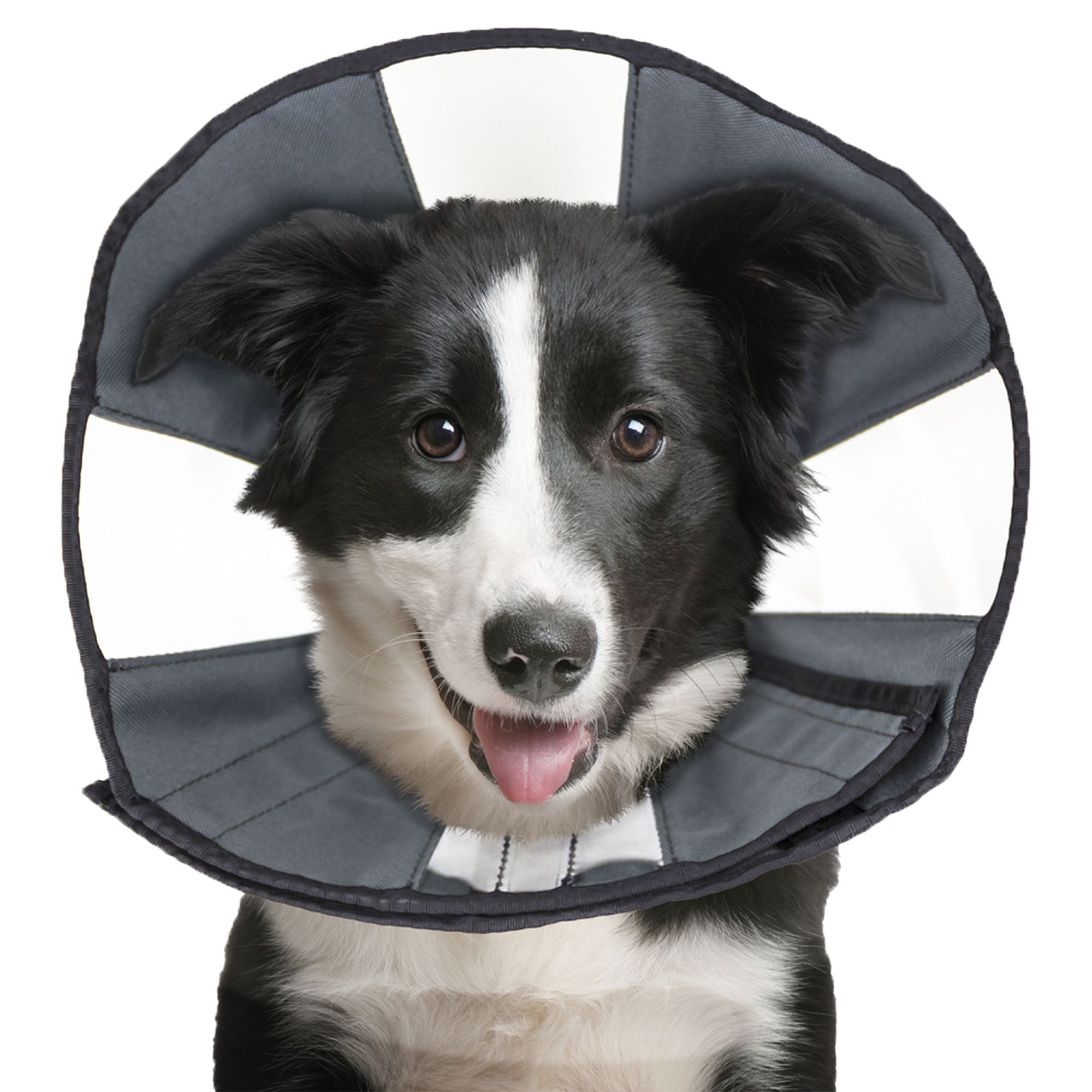 ZenPet ZenCone Soft Recovery Collar Large