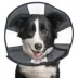 ZenPet ZenCone image thumbnail 1
