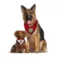 Product Pets First Minnesota Wild Reversible Bandana