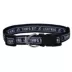 Pets First Tampa Bay Lightning Dog Collar image thumbnail 1