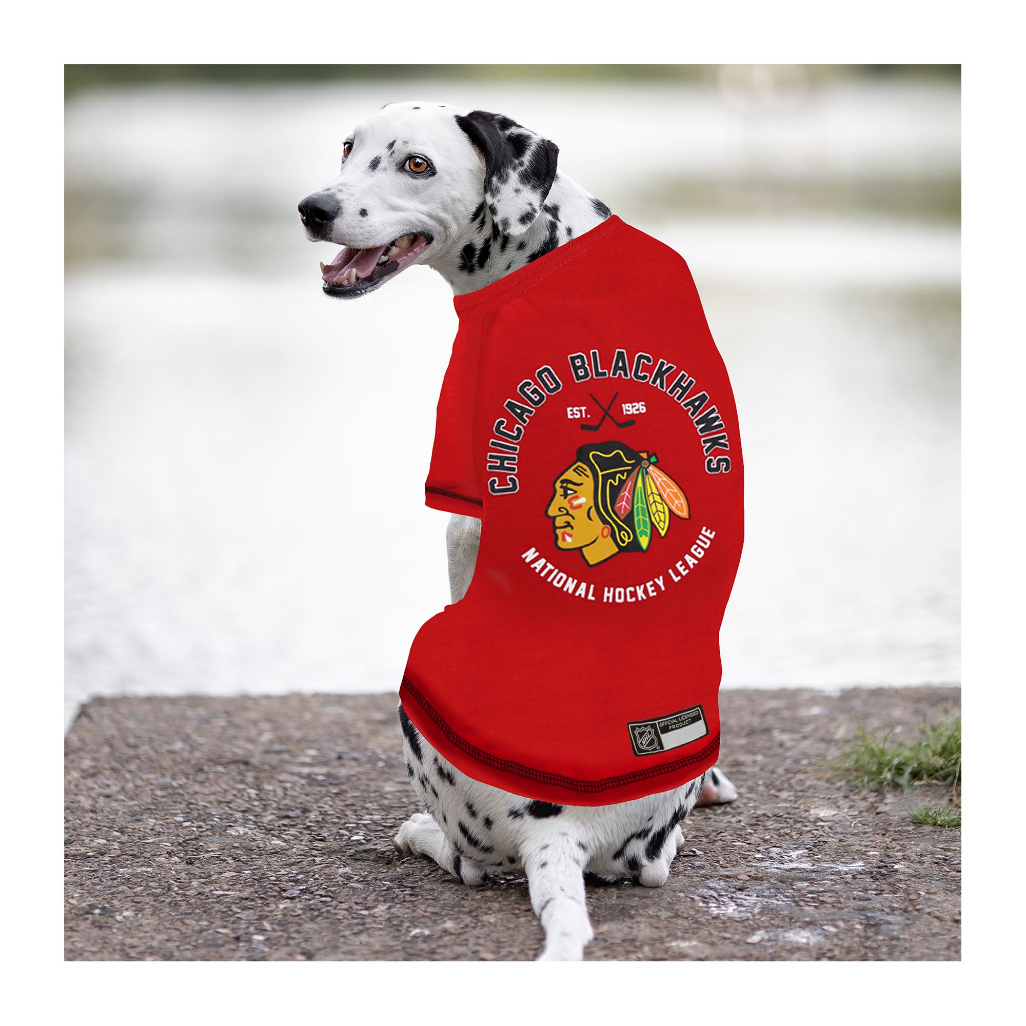 Cubs pet jersey online