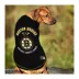Pets First Boston Bruins Tee image thumbnail 2