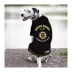 Pets First Boston Bruins Tee image thumbnail 3