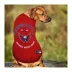 Pets First Washington Capitals Tee image thumbnail 3