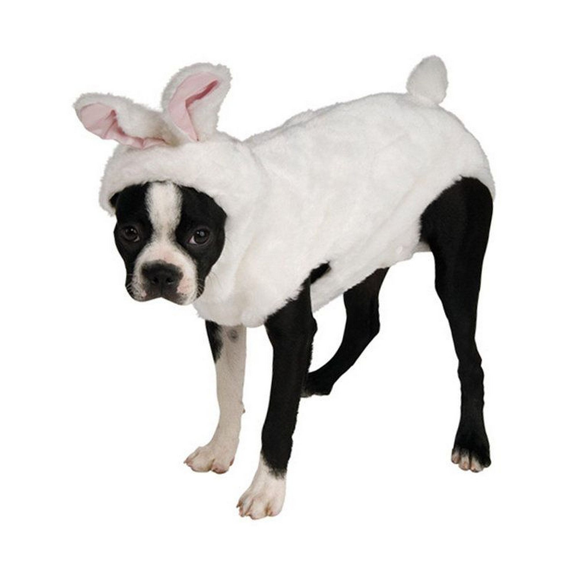 Dog rabbit clearance costume