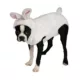 Product Rubie's Pet Shop Bunny Dog Costume