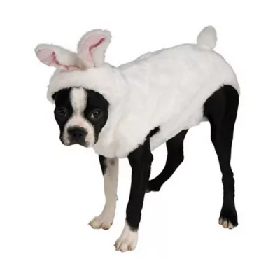 Rubie's Pet Shop Bunny Dog Costume - Image 1