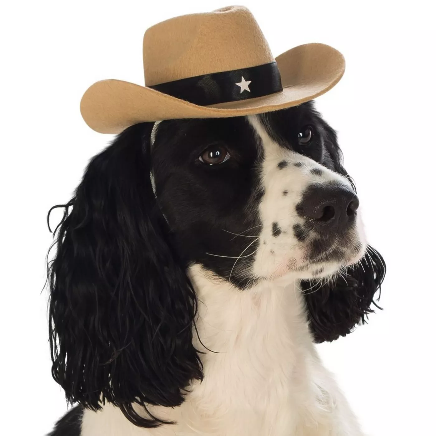 Rubie s Pet Shop Halloween Cowboy Hat Dog Costume