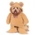 Rubie's Pet Shop Halloween Walking Teddy Bear Dog Costume image thumbnail 1