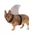Rubie's Pet Shop Halloween Shark Fin Dog Costume image thumbnail 1