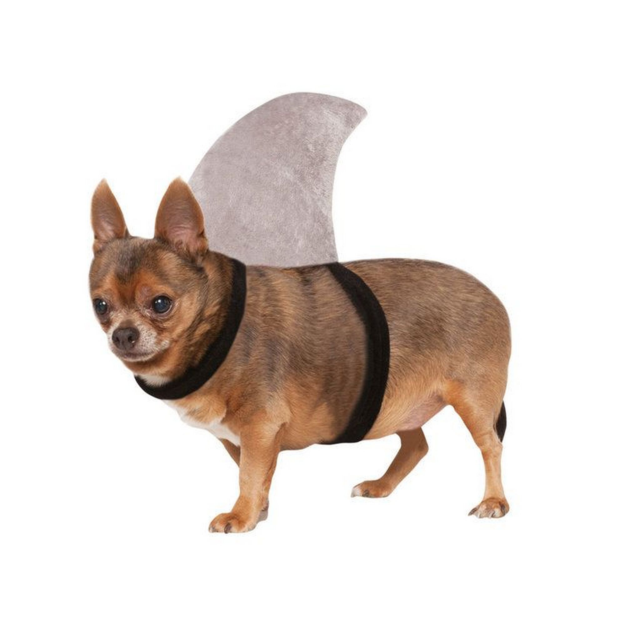 Shark dog costume clearance xl