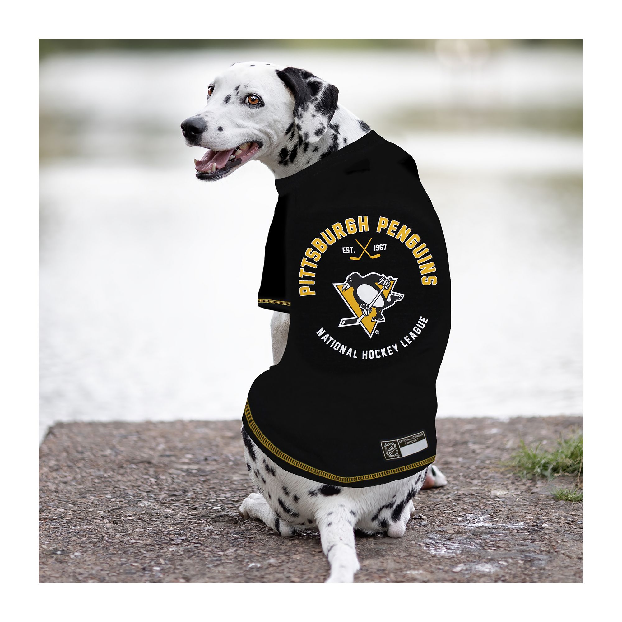 Pets First Pittsburgh Penguins Tee PetSmart in Tustin CA The Market Place