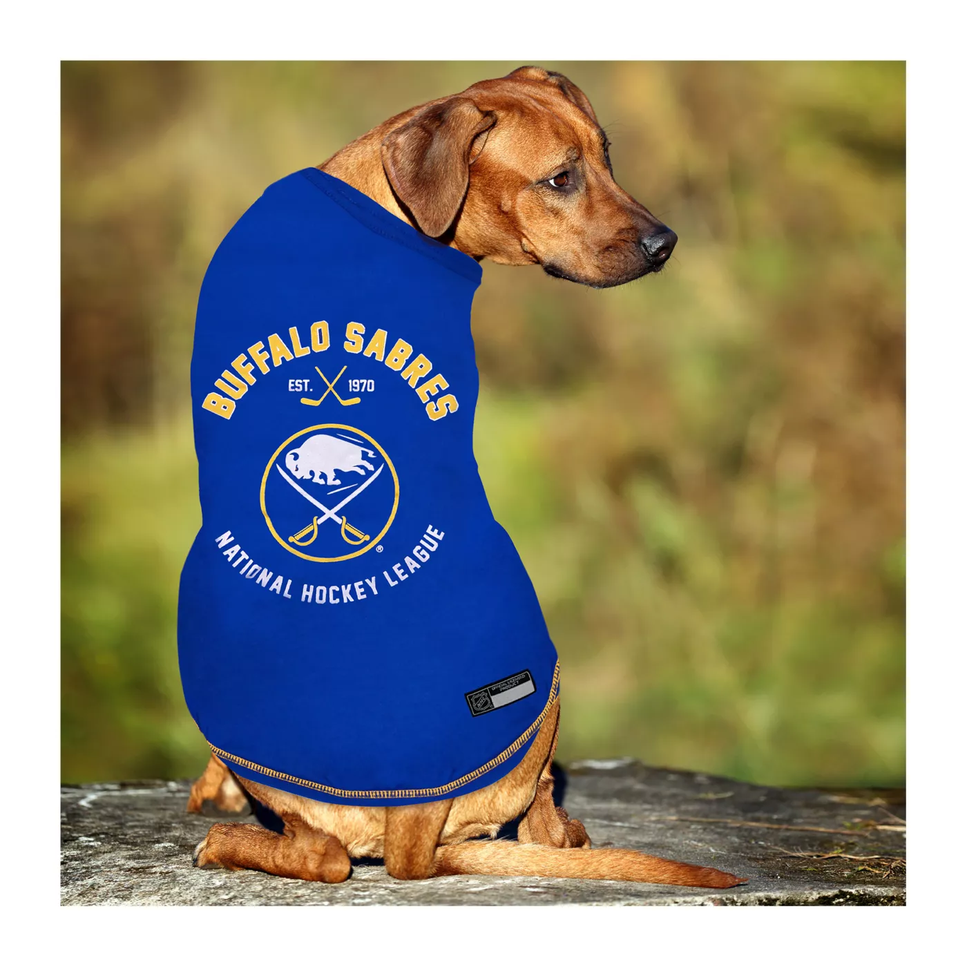 Buffalo release Sabres NHL Dog Jersey