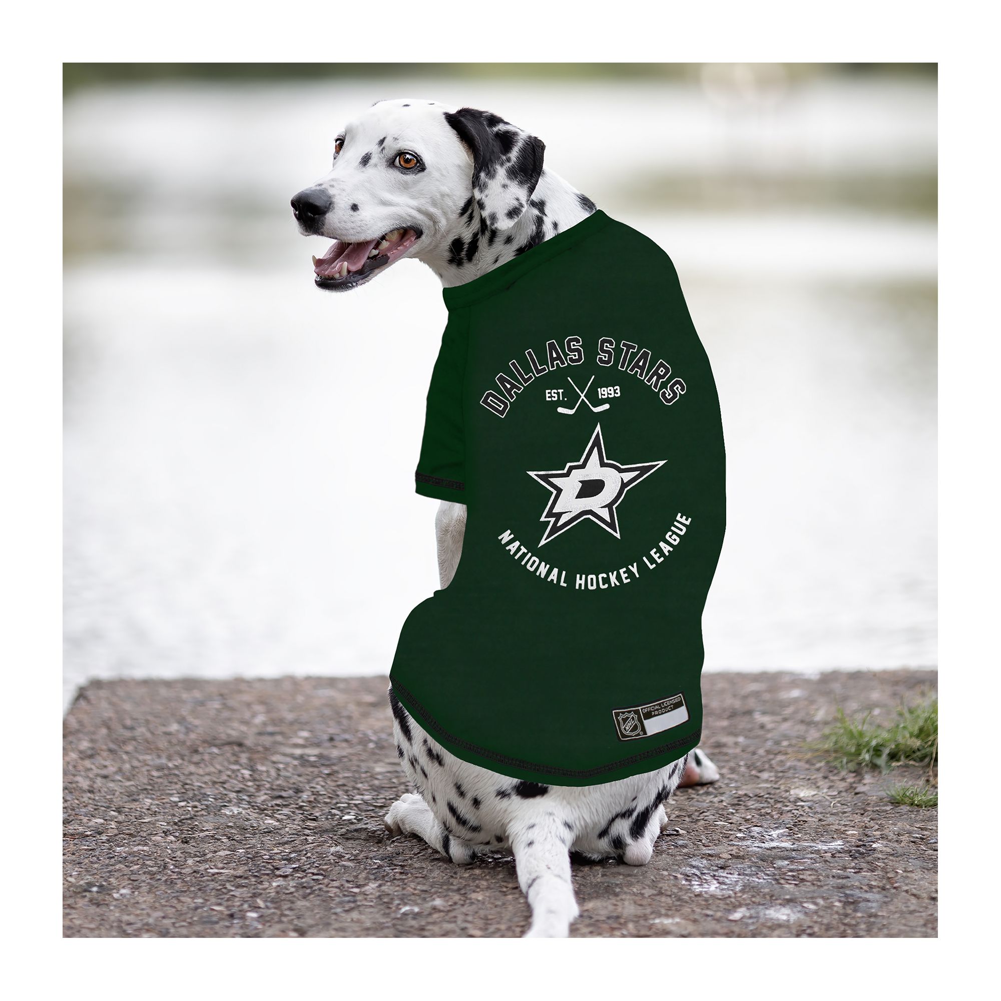 Dallas stars dog jersey on sale