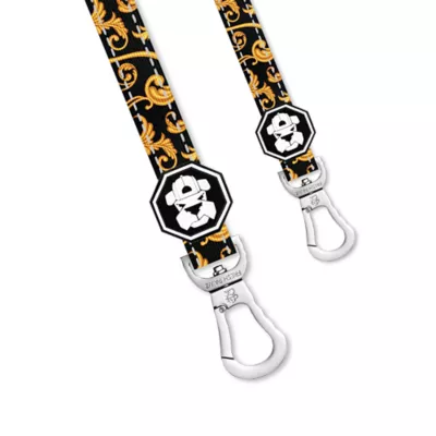 Fresh Pawz Baroque Dog Leash 5-ft long - Image 2