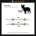 Fresh Pawz Le Fleur Dog Leash 5-ft long image thumbnail 4