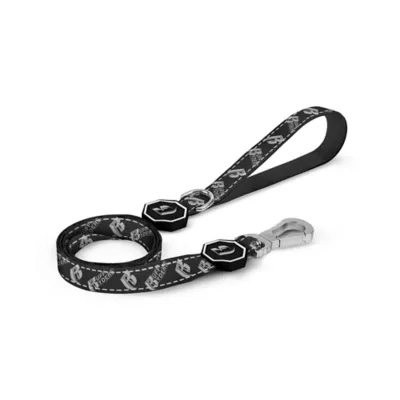 Product Fresh Pawz Ruff Ryders Logo Dog Leash 5-ft long
