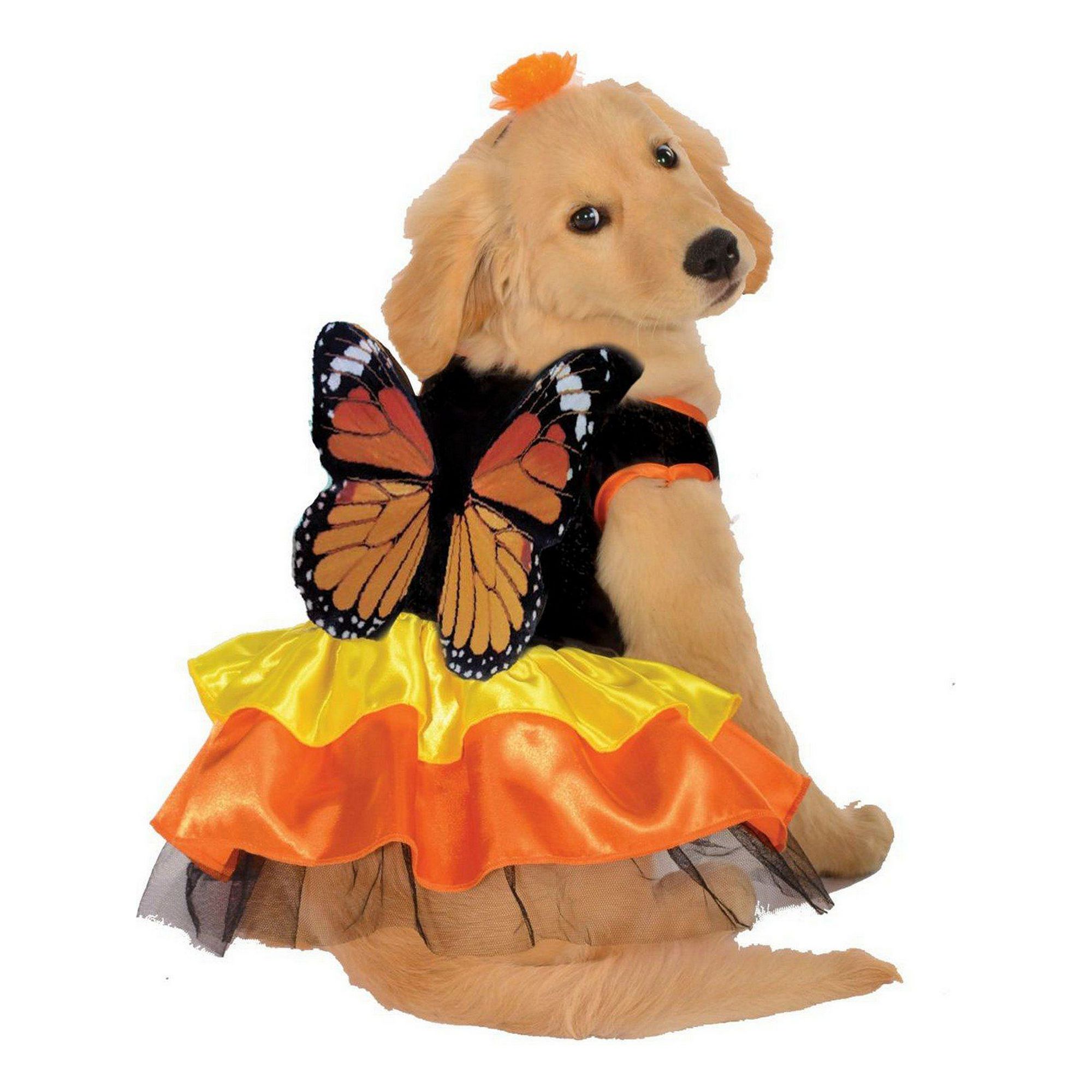 Rubies Costume Co Gold Fish Dog Costume, X-Large