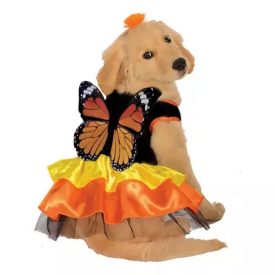 Product Rubie's Pet Shop Halloween Monarch Butterfly Dog & Cat Costume