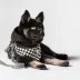 Fresh Pawz Checkerboard Hoodie Dog Harness image thumbnail 3